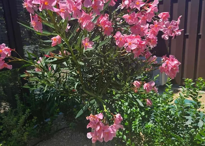 ヴィラ Cadaques, Private Pool With Heating And Salt Water *